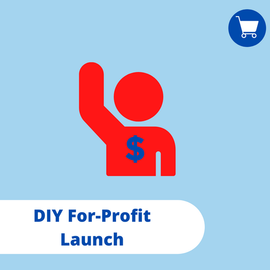 Do It Yourself For Profit Launch Guide